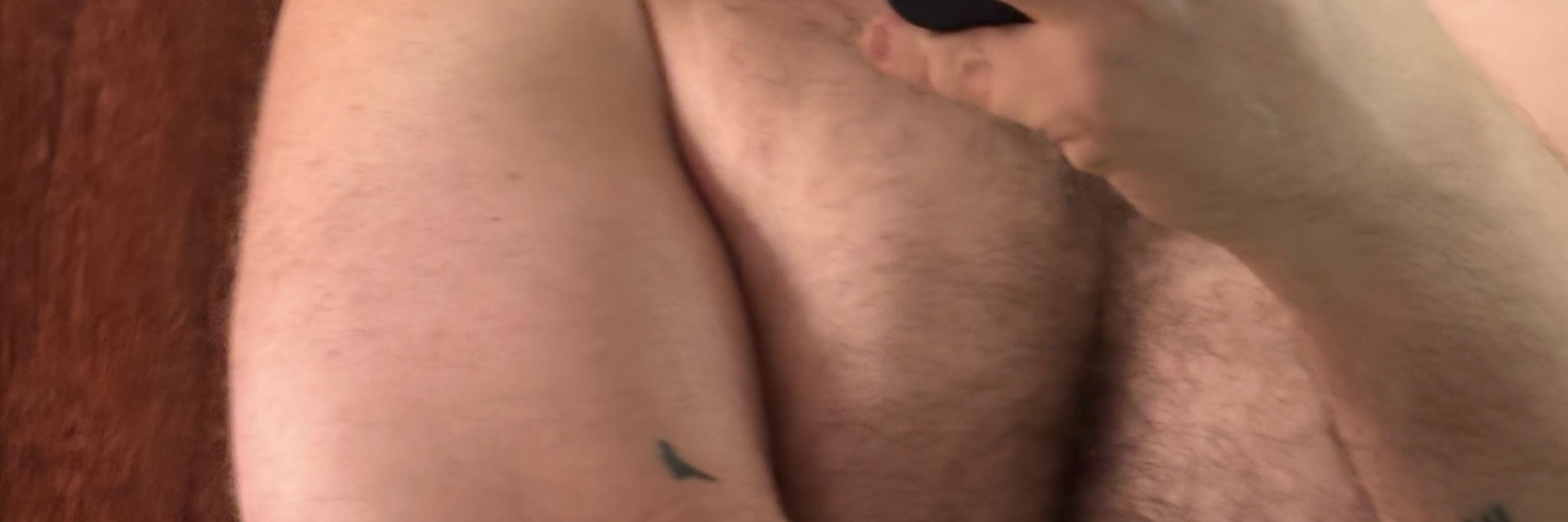 🐻
