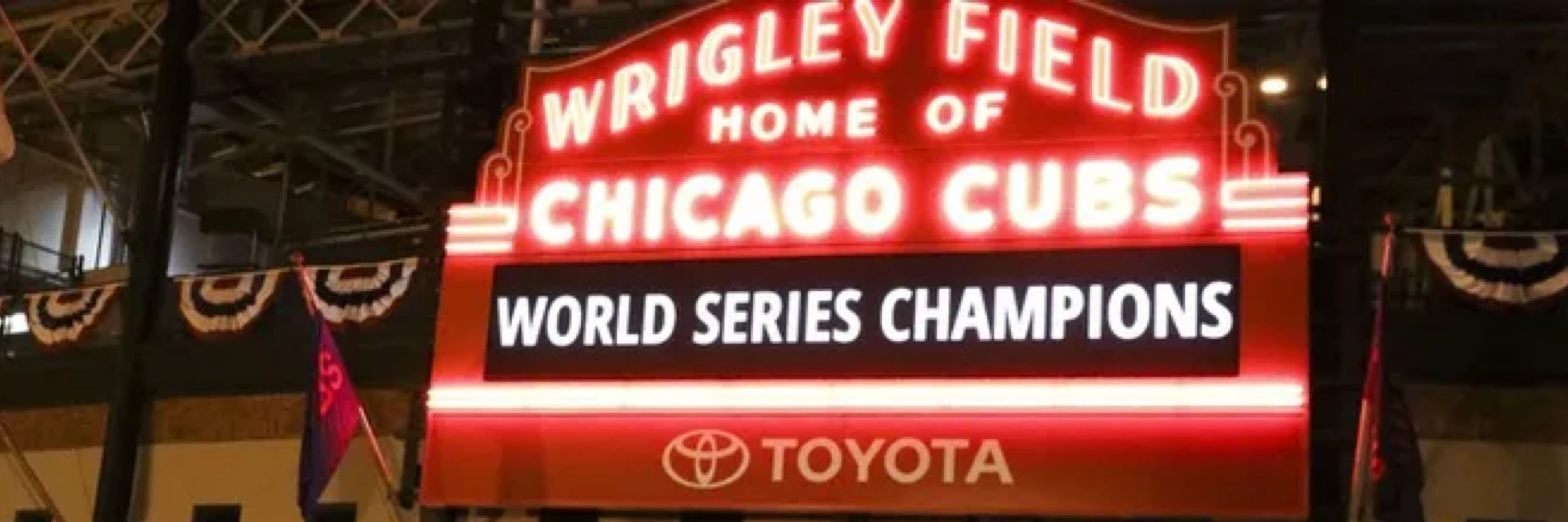 Salty Cubs Fan