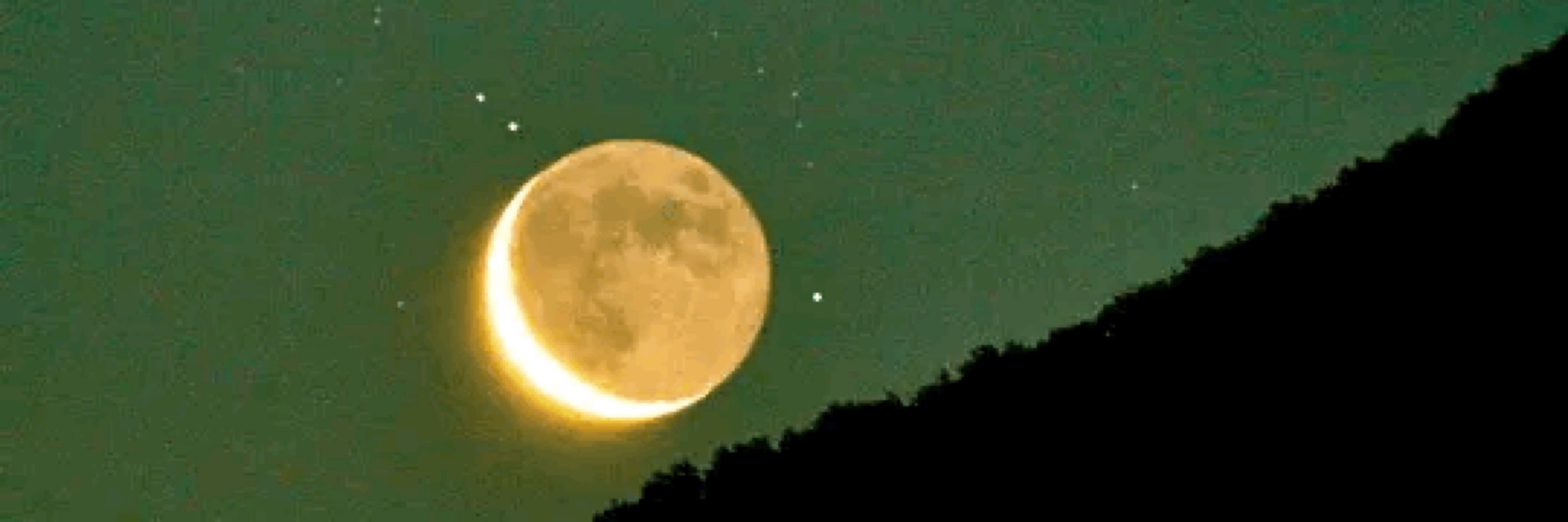 celestialg