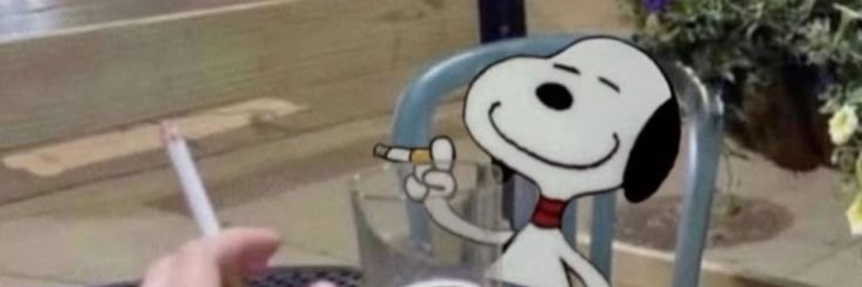 Snoopylover