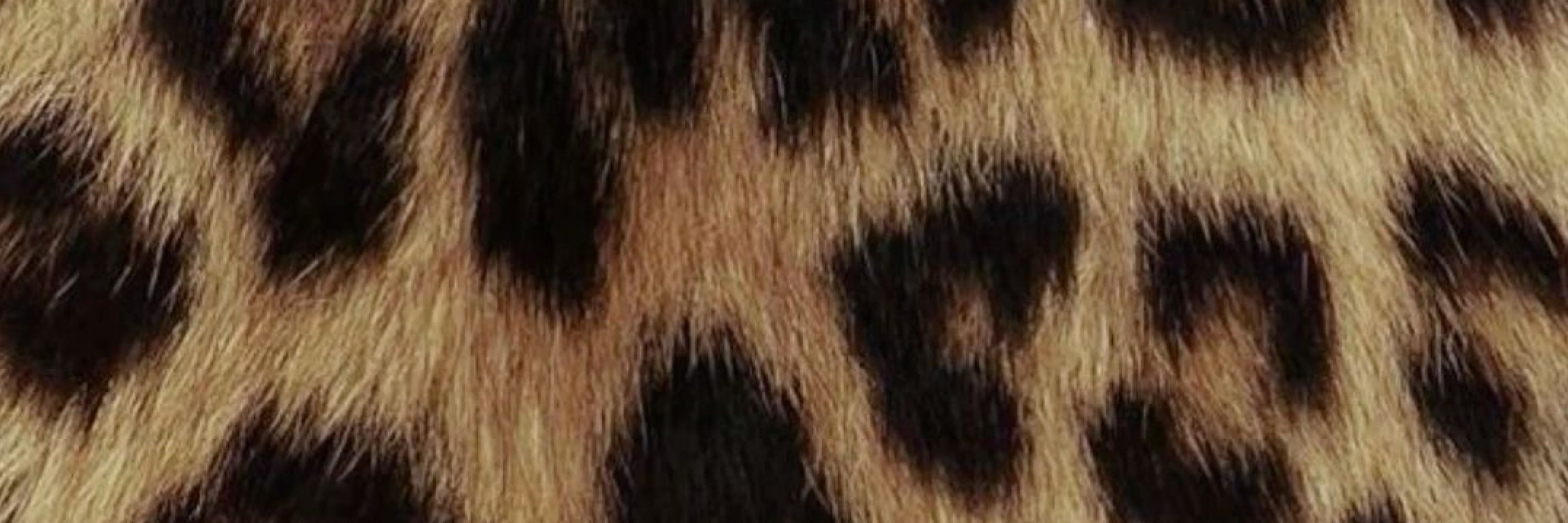 🐆