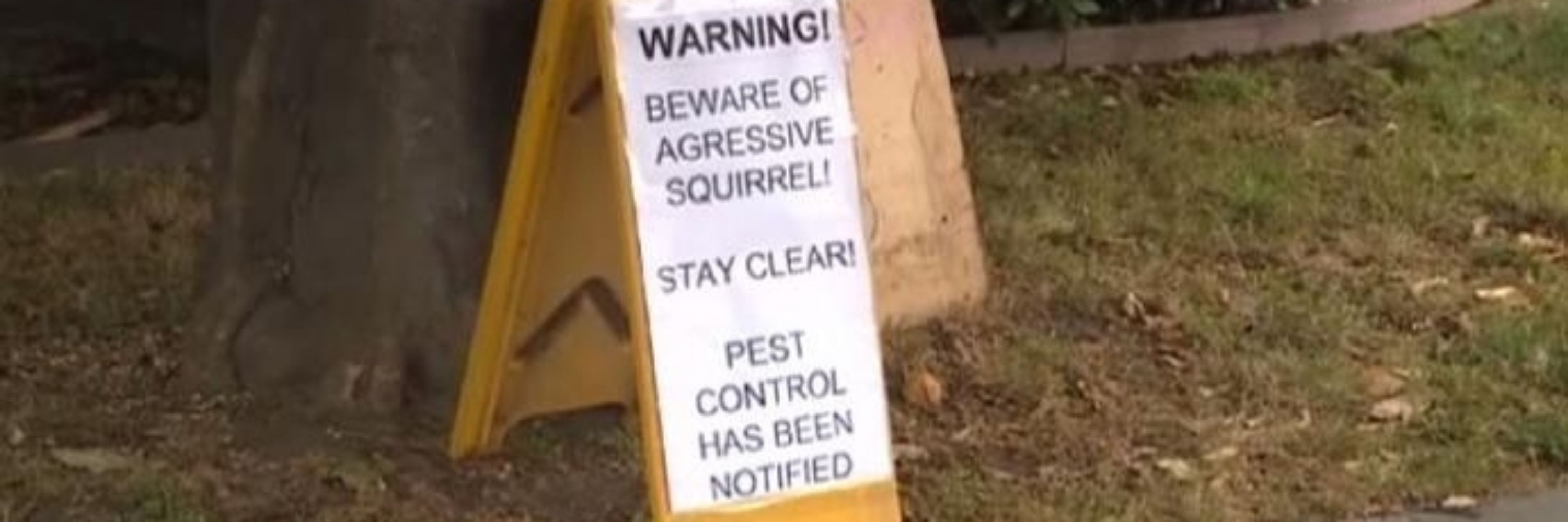 squirrelled away