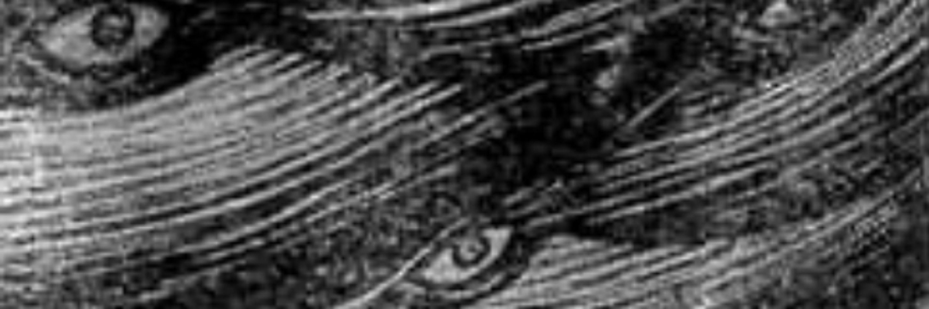 nociceptxr