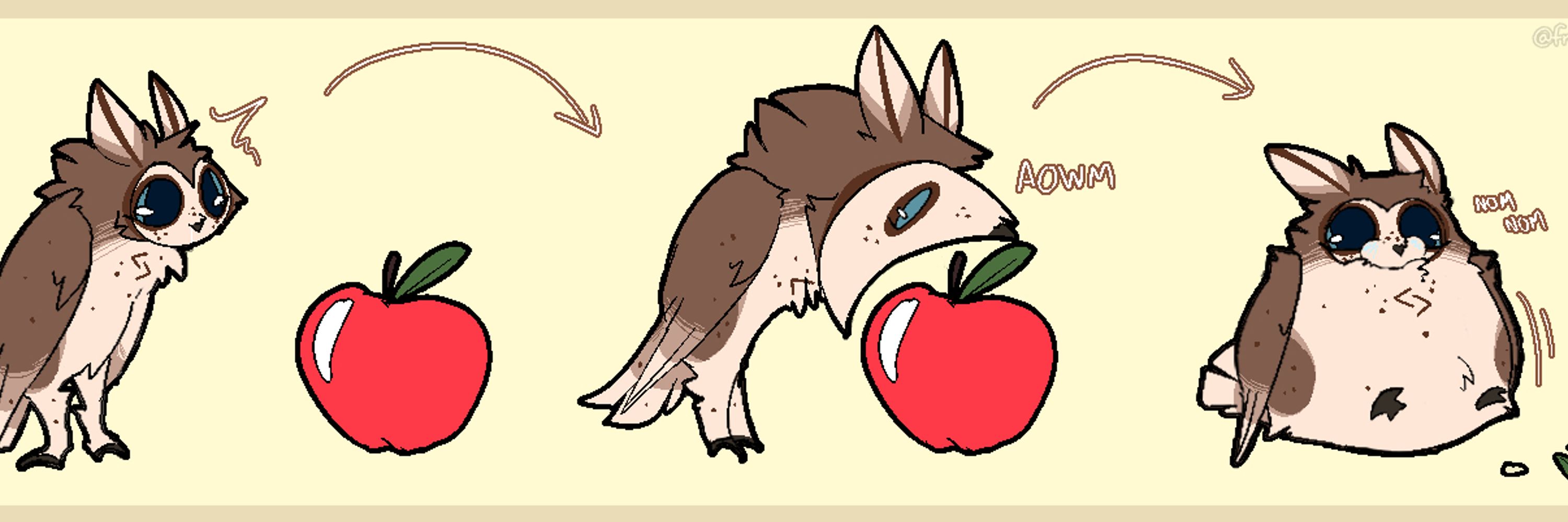 jay