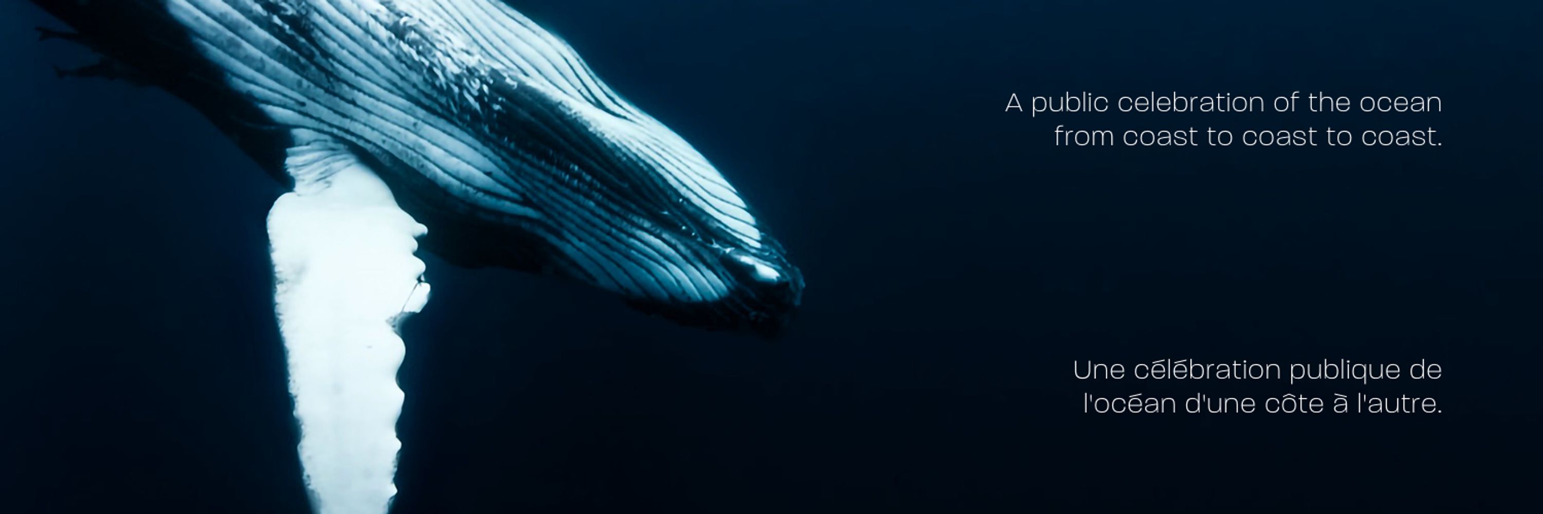 OWC Ocean Week Canada | Semaine de l'océan