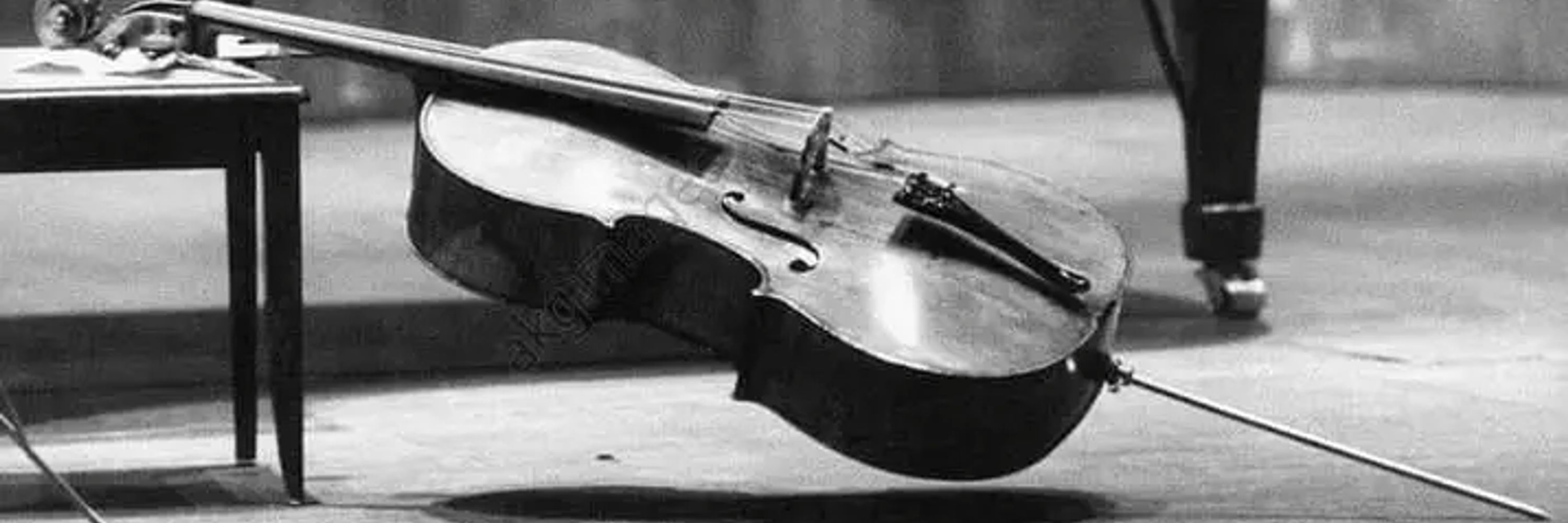 Caro Cello 
