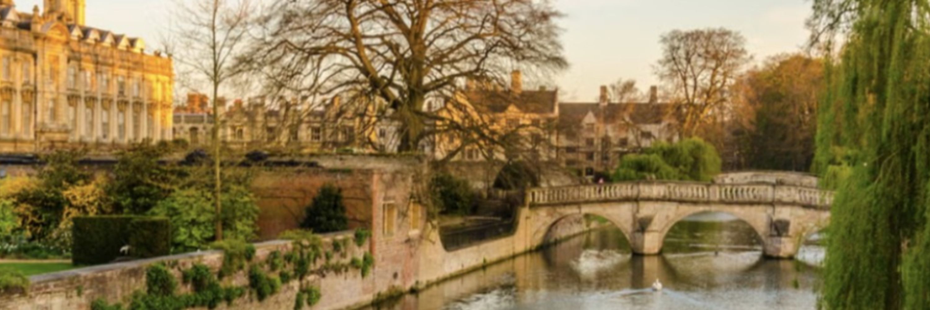 Cambridge Working Papers in Economic and Social History