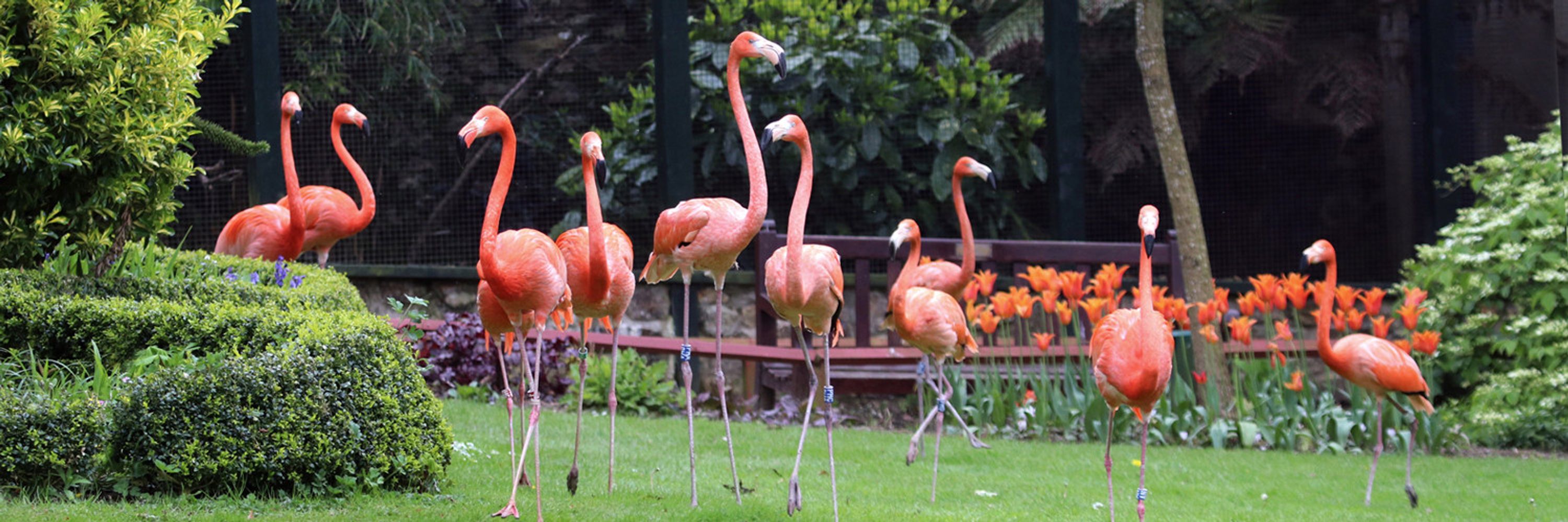 Paradise Park