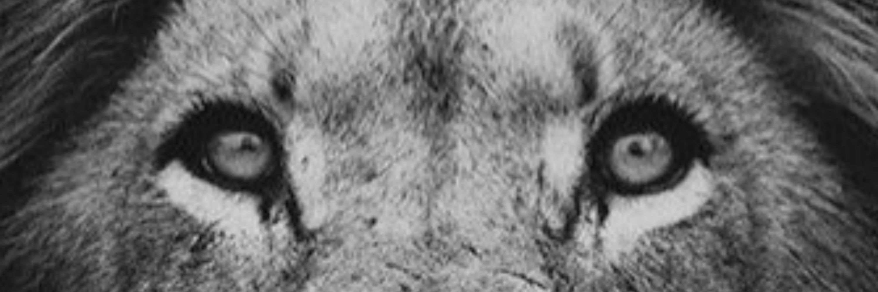 Jagoba