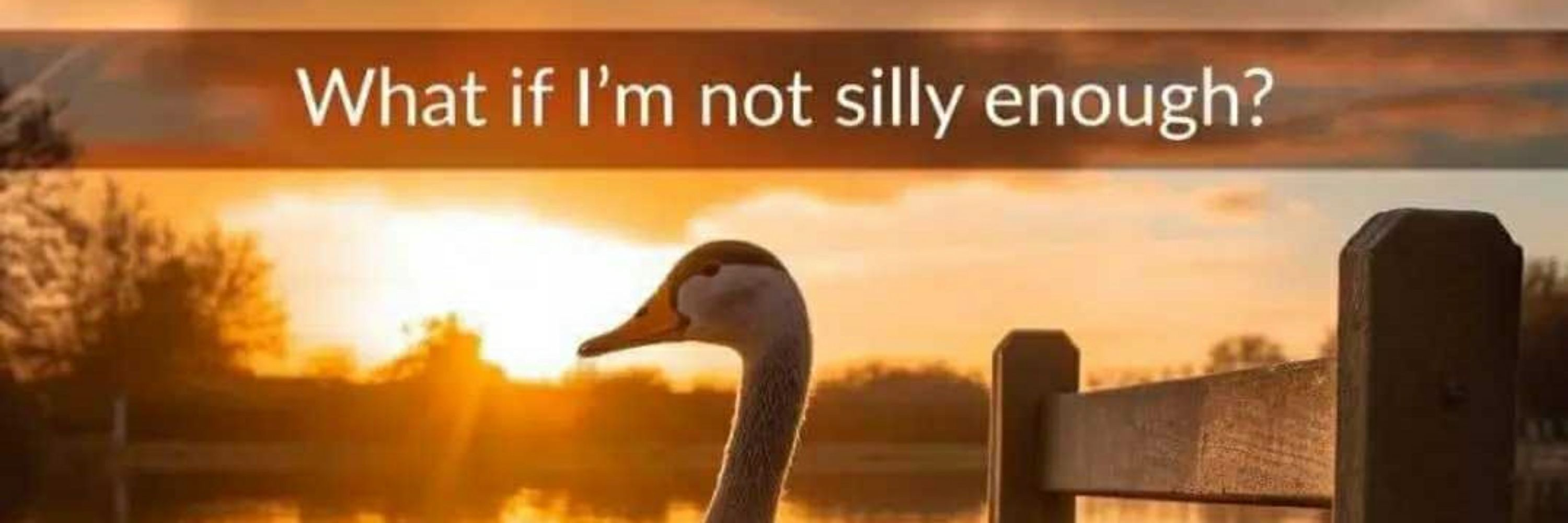 Birb