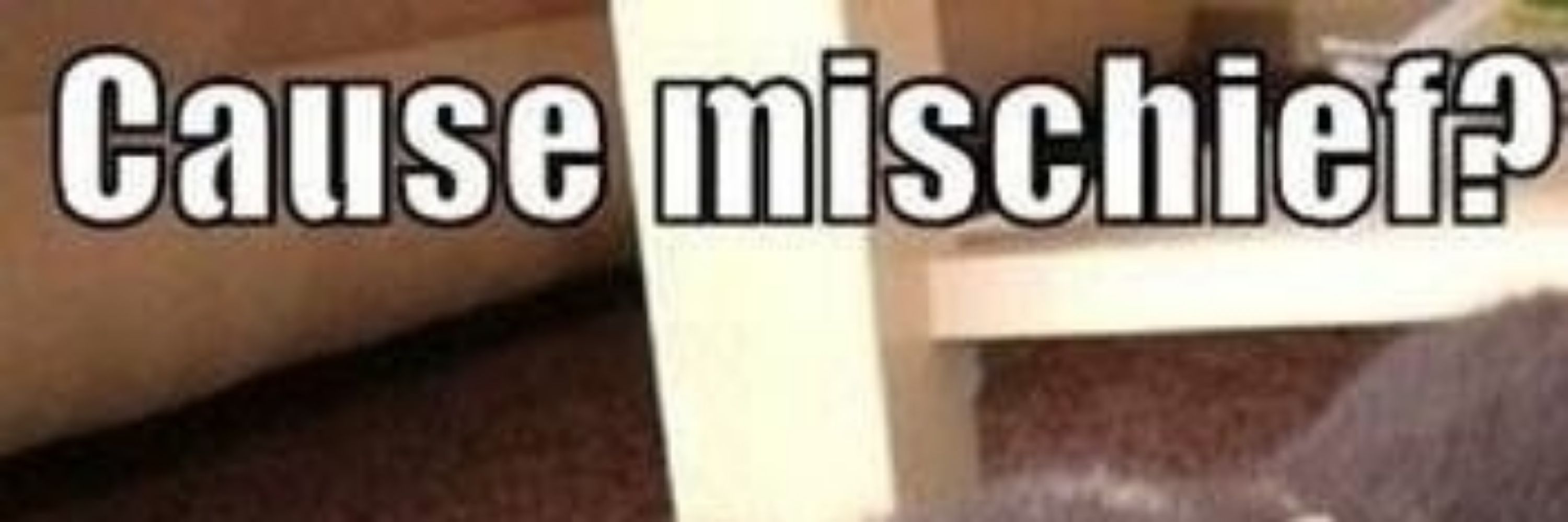 Doe :3