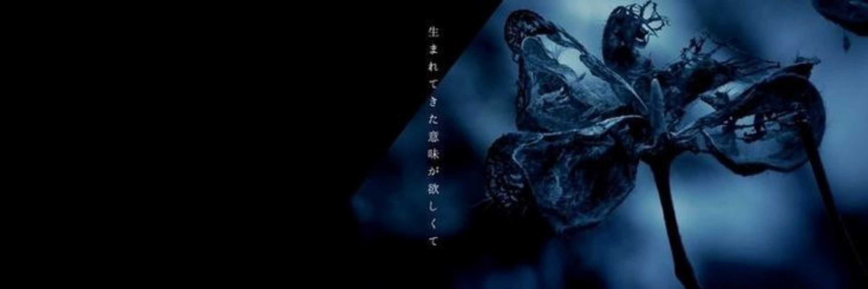 TAy ♱ | judirico yanfei