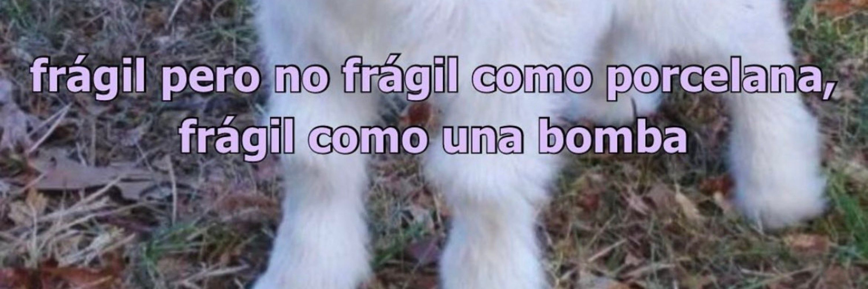 bruna