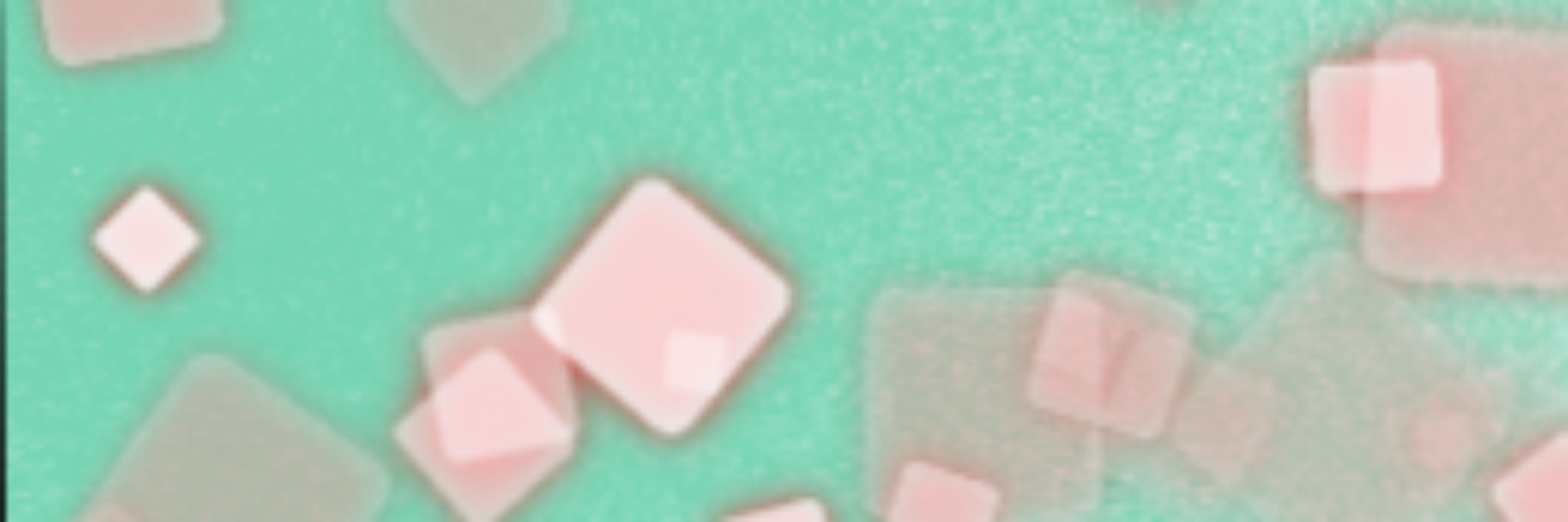 Melon