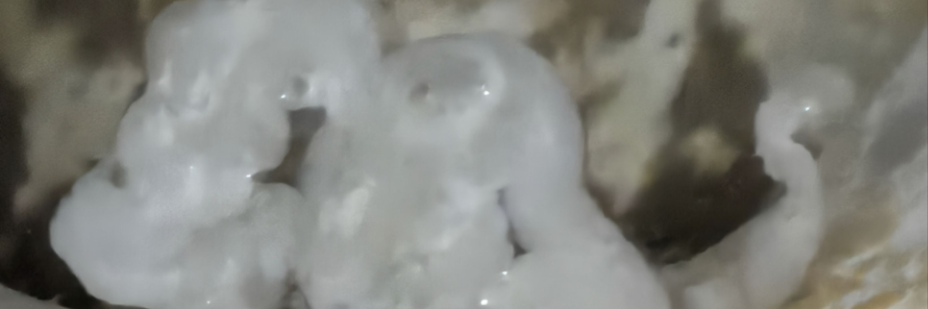 Charlie_J