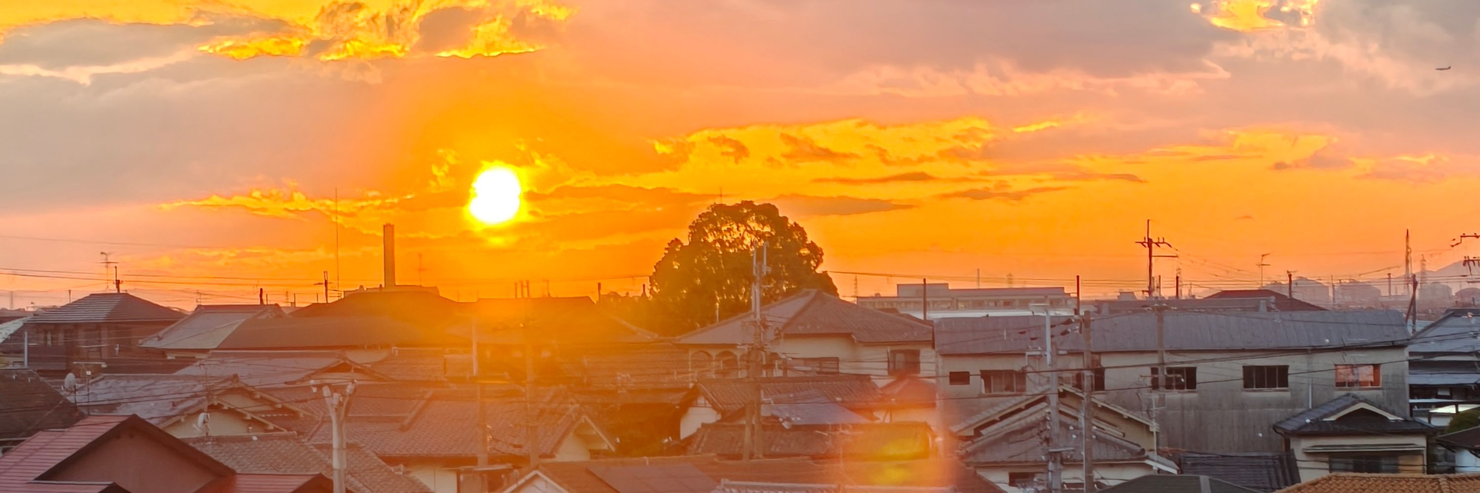 まんまる🫶