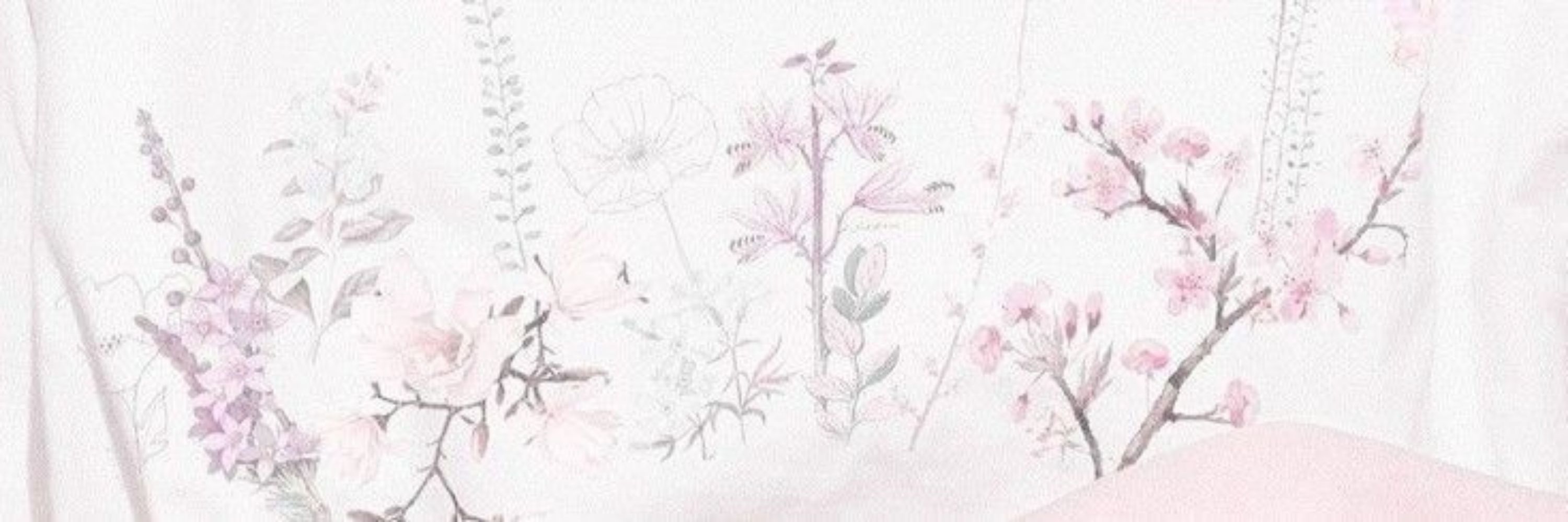 SOL ; ˢᵘⁿˢʰⁱⁿᵉᶠᵒʳᵏⁱᵐ 🎀