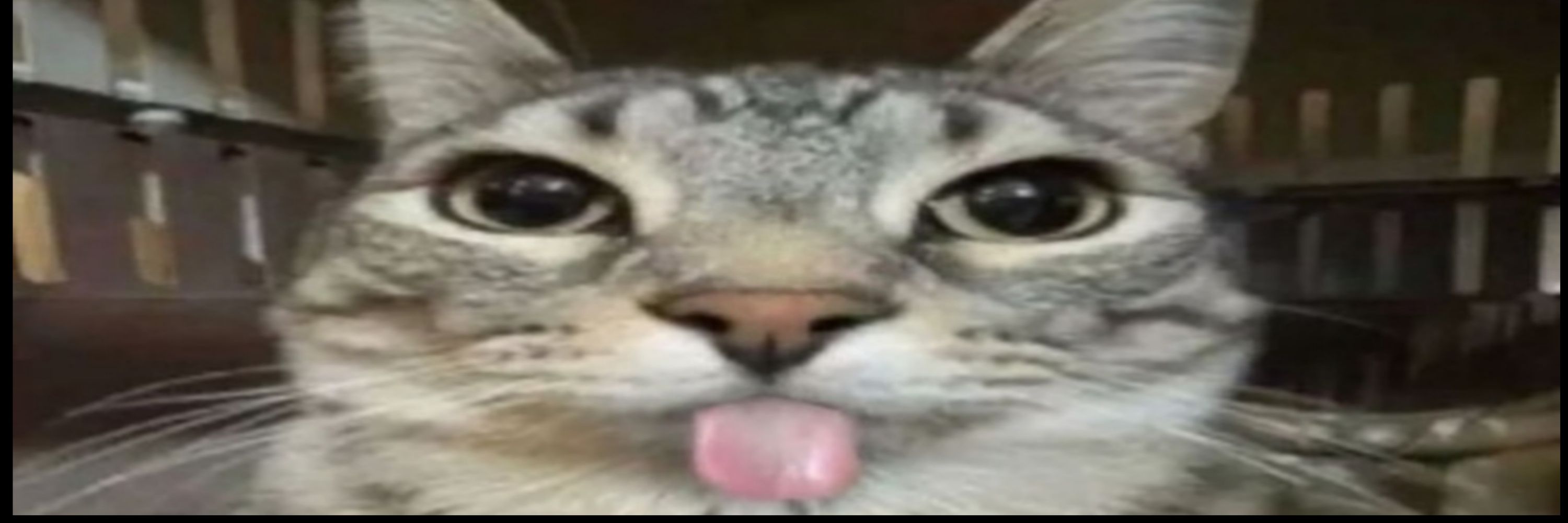Ray