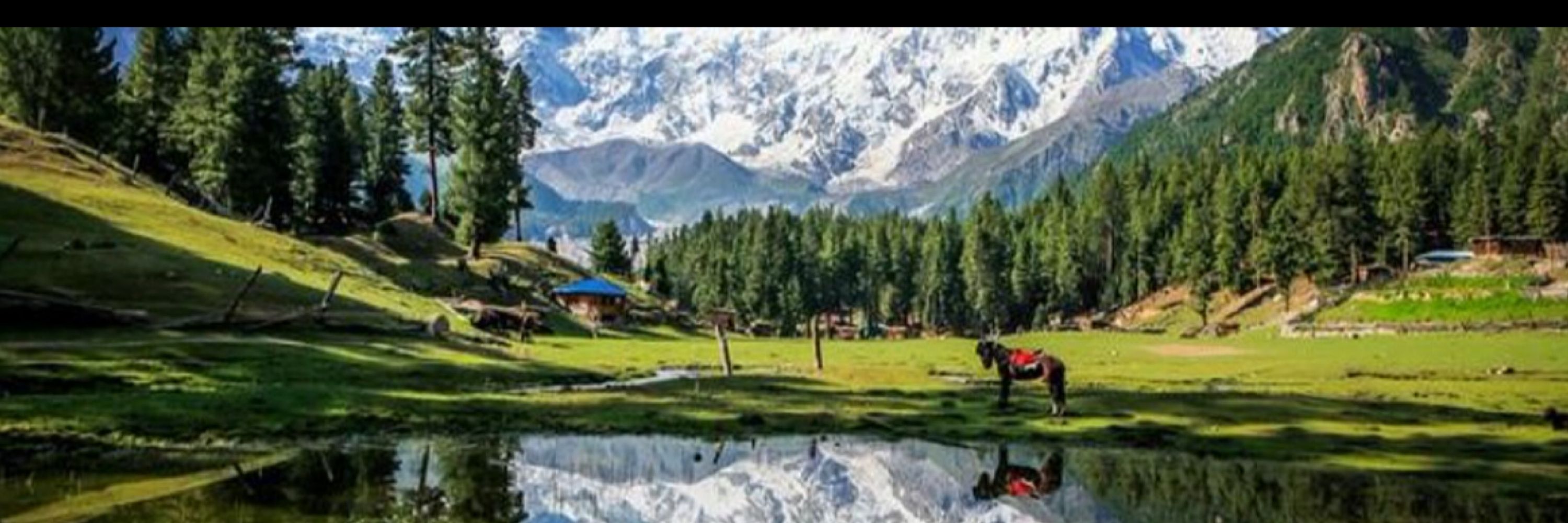 @ImranRiazKhan1