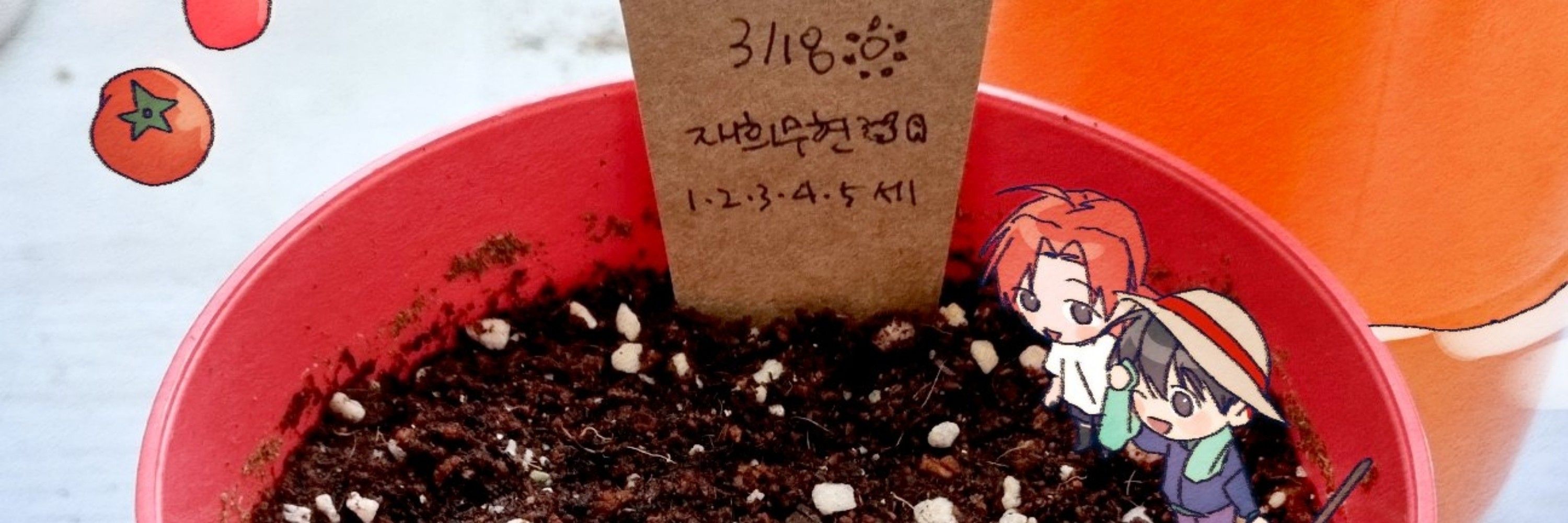 심마