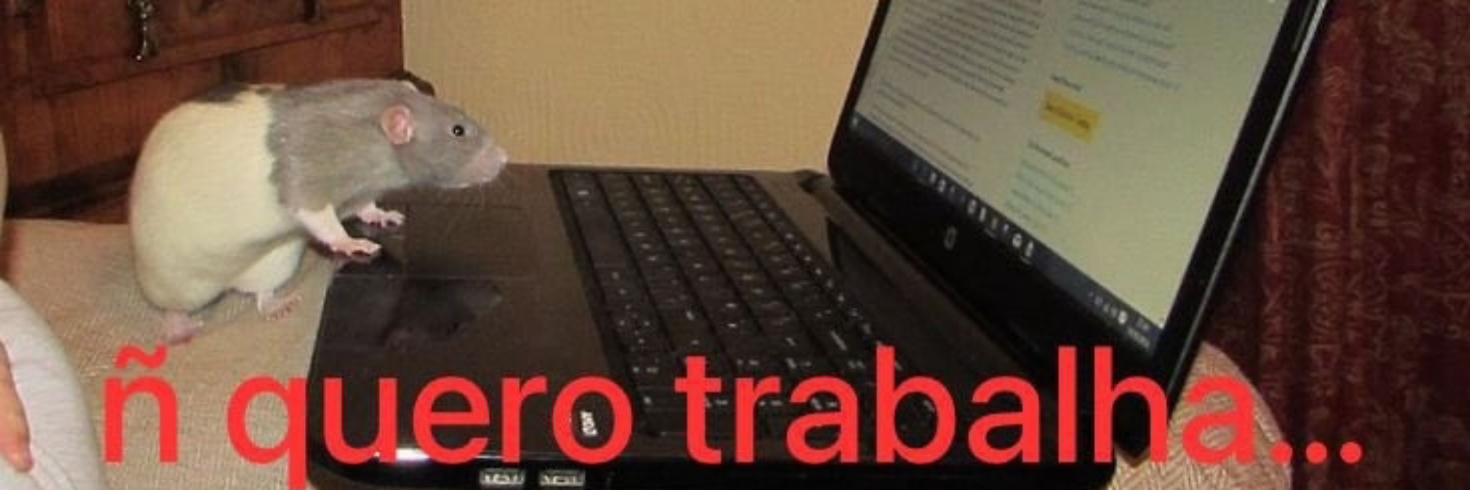 GaitaHarmônicaBluesSwanEmDóC20VozesDiatônicainstrumentodesoproTO