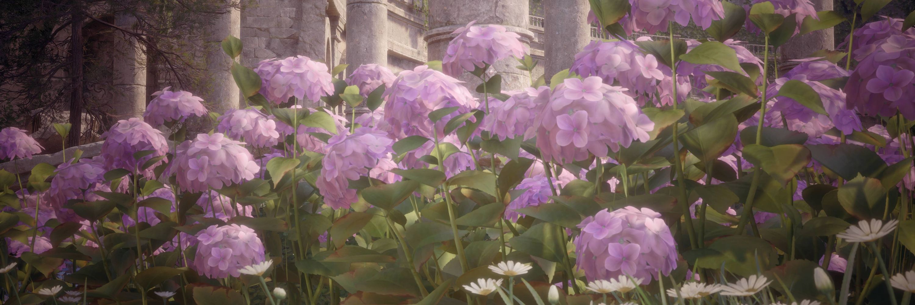 🌷