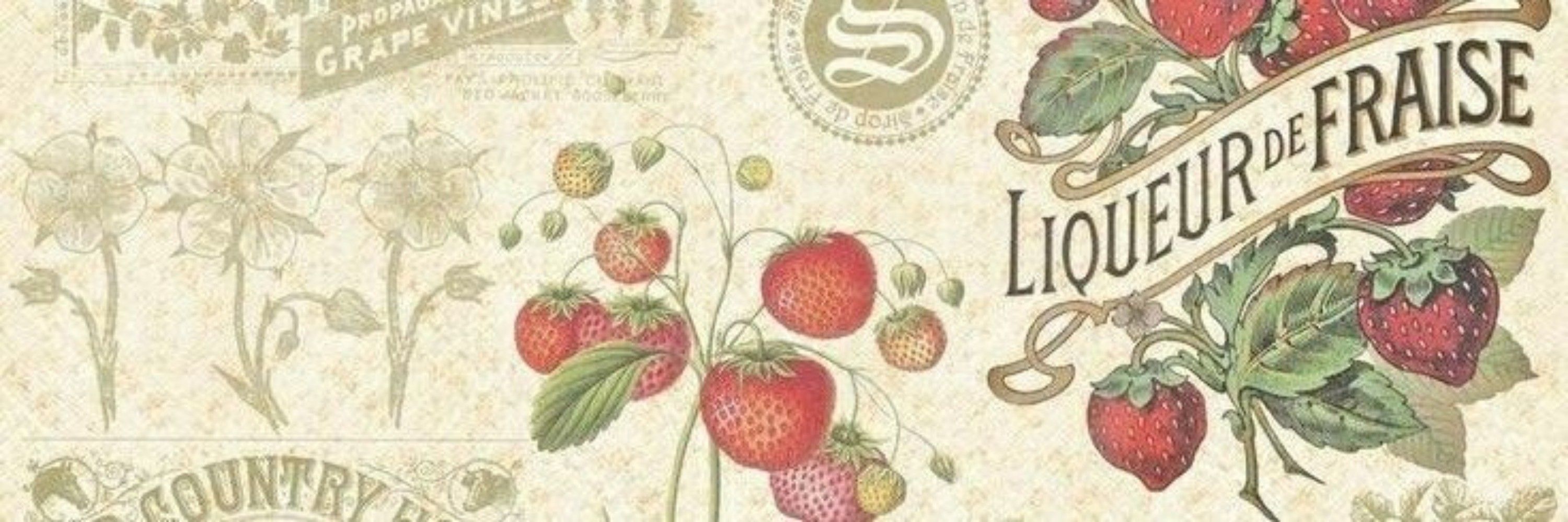 ꩇׁׅ֪݊ ᨵׁׅׅꭈׁׅɑׁׅ݊ꪀᧁׁᨵׁׅׅ 🍓