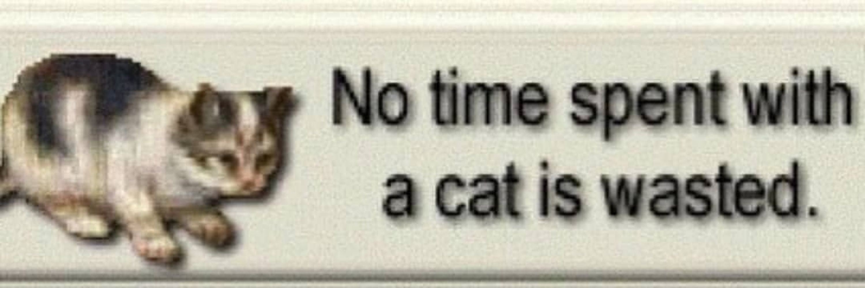 𝕤𝕣𝕔𝕒𝕞𝕒𝕣𝕕𝕒