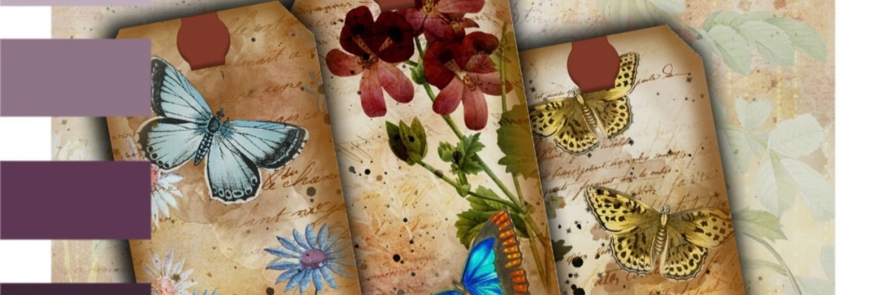 Serenity Paperie