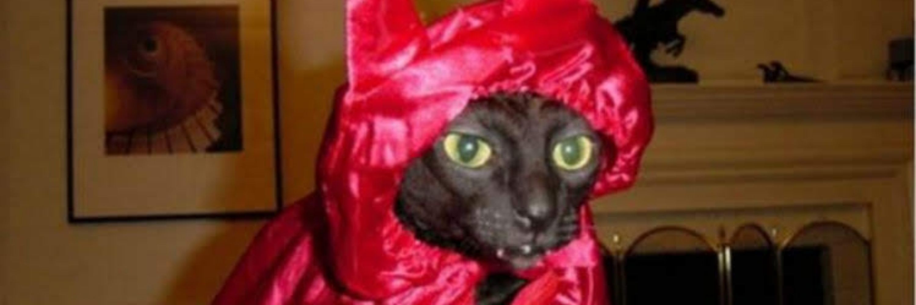 Totô