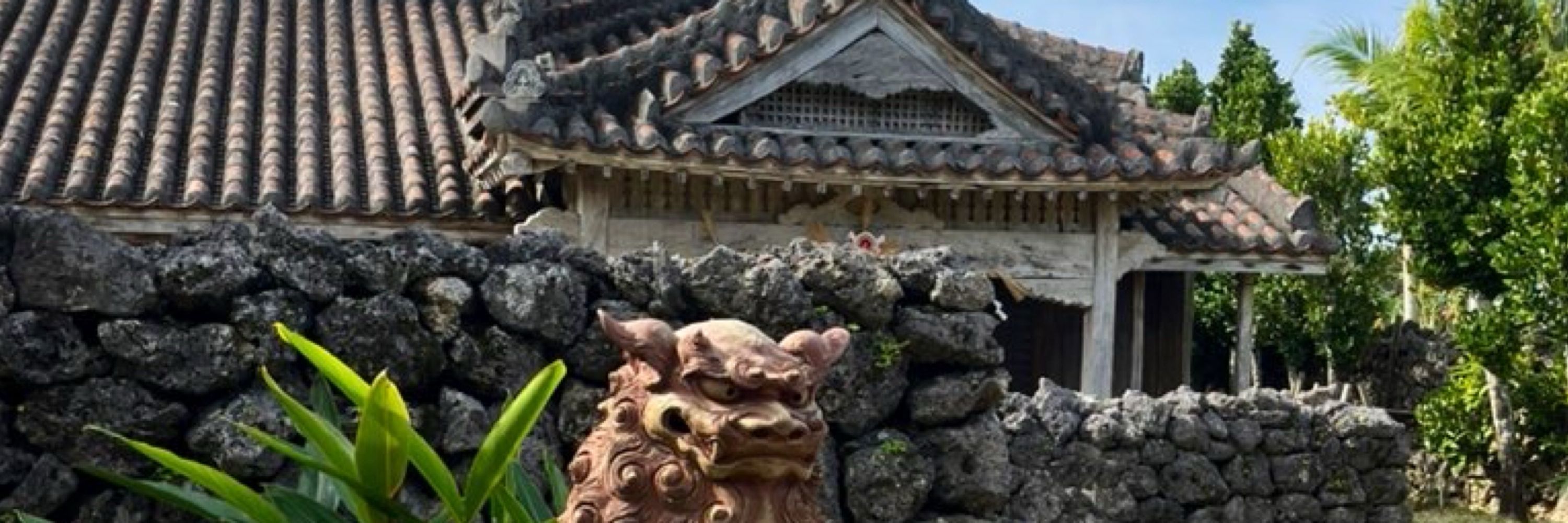 清水三毛