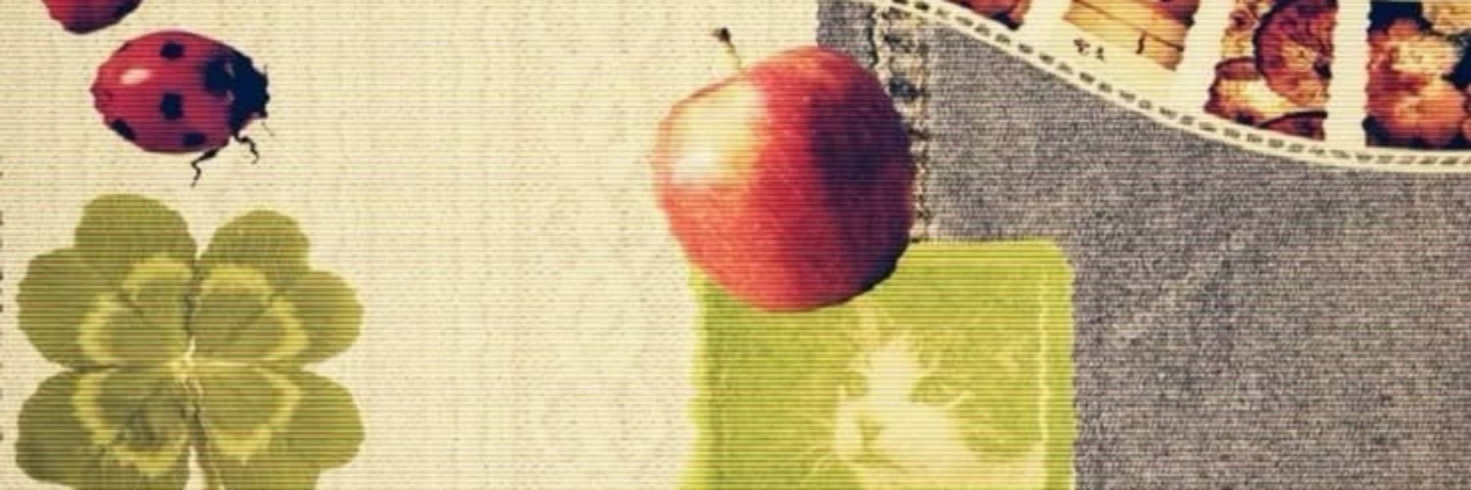 tete