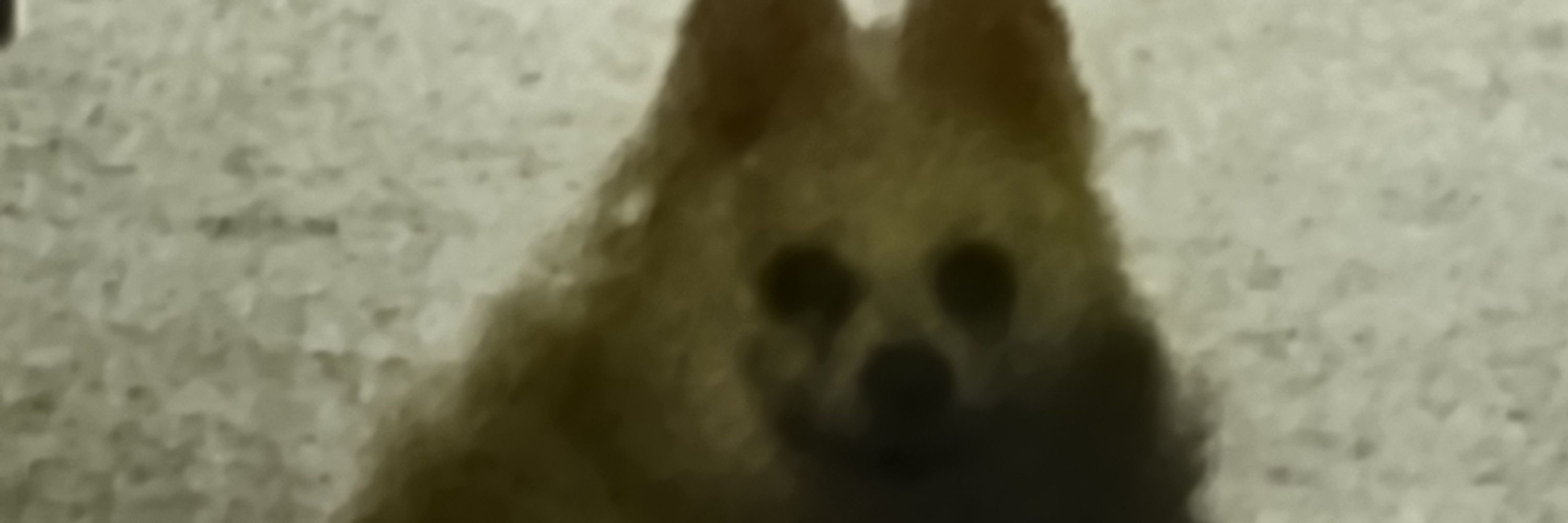 Grumbledor