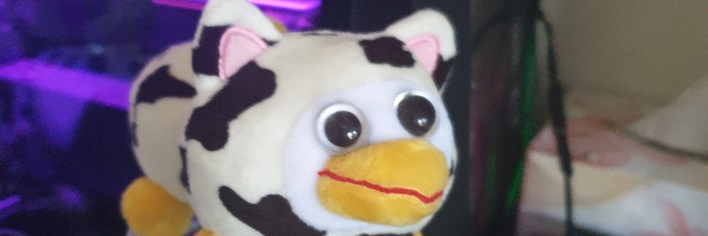 IgnisVeeMizu