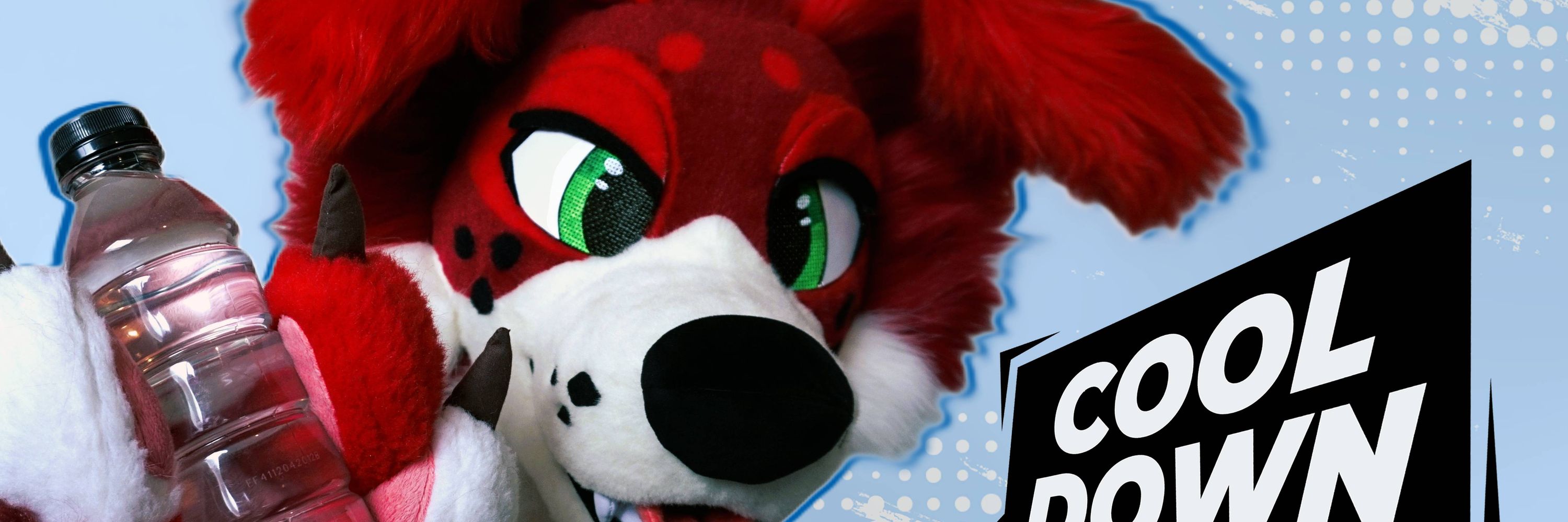 𝙅𝙐𝘿𝘿 || 𝙍𝙒𝙊𝙁 》FWA