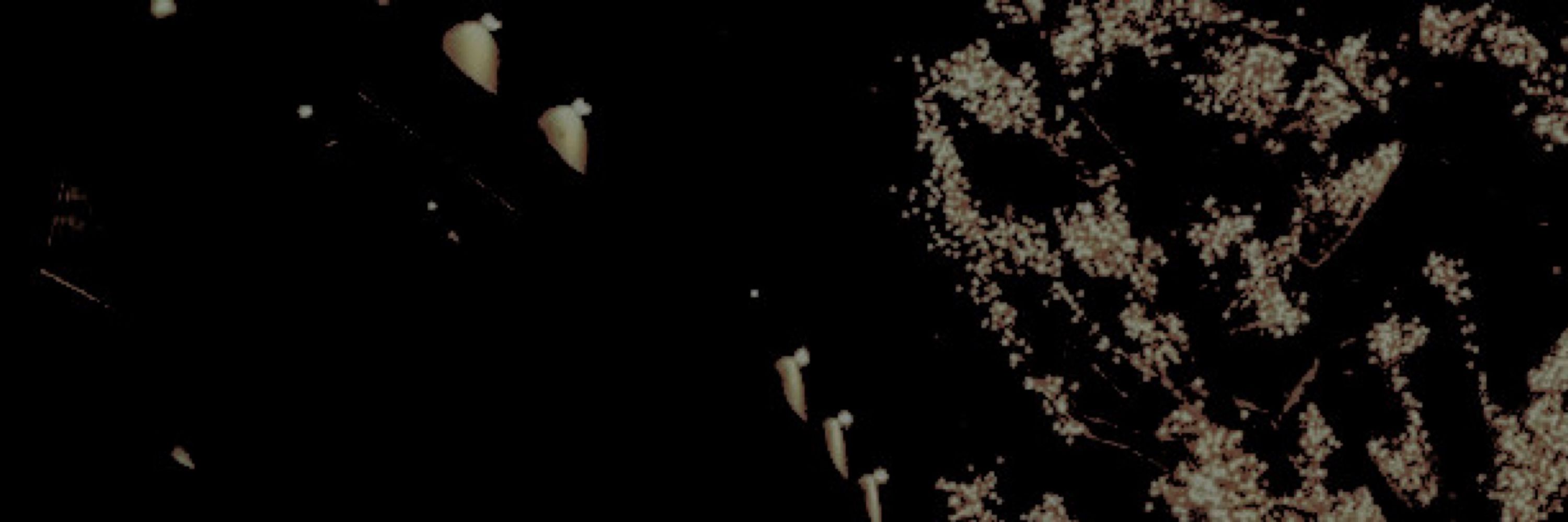 𝖺𝗇t𝘩𝗼𝗇𝘆 .ᐟ