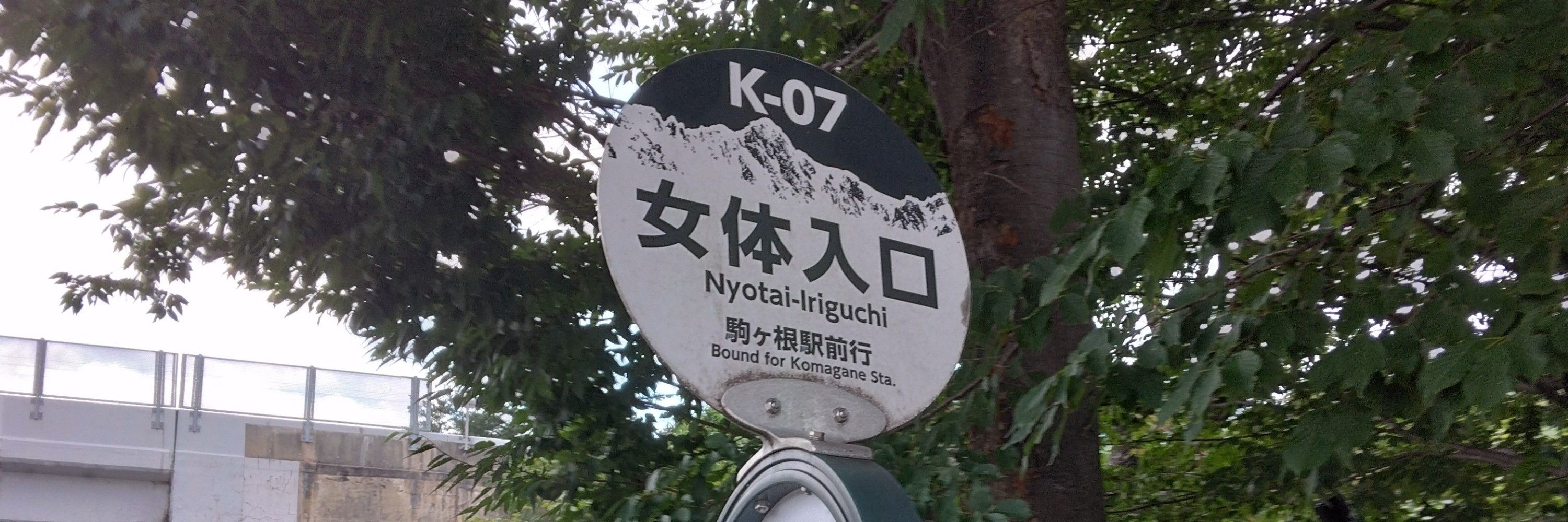 どるどるどるどるどるどるどるどる