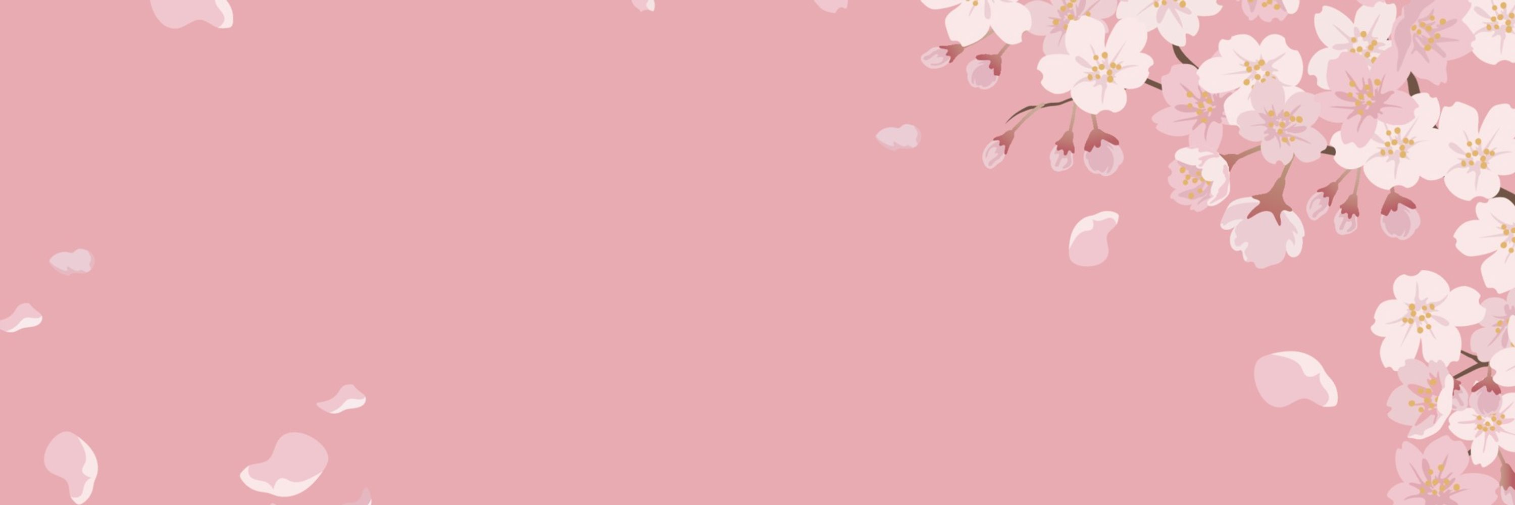Cherie 🌸