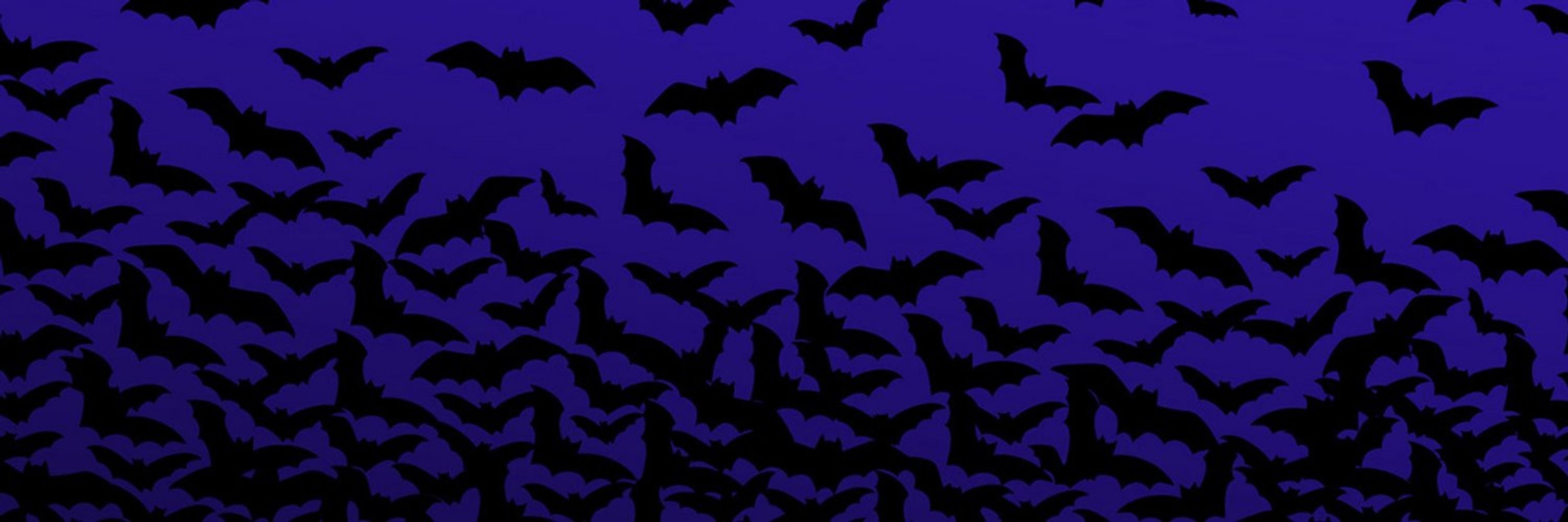 🏳️‍🌈🦇Batsutousai🦇🏳️‍🌈