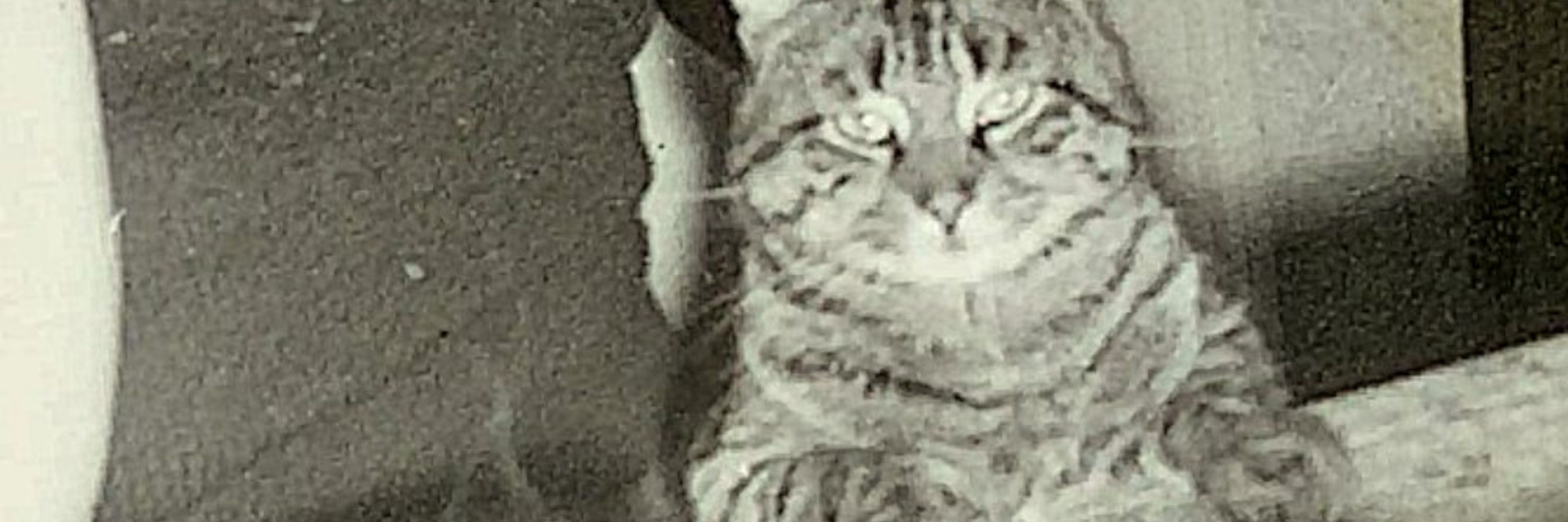 Grumbeerekiechle
