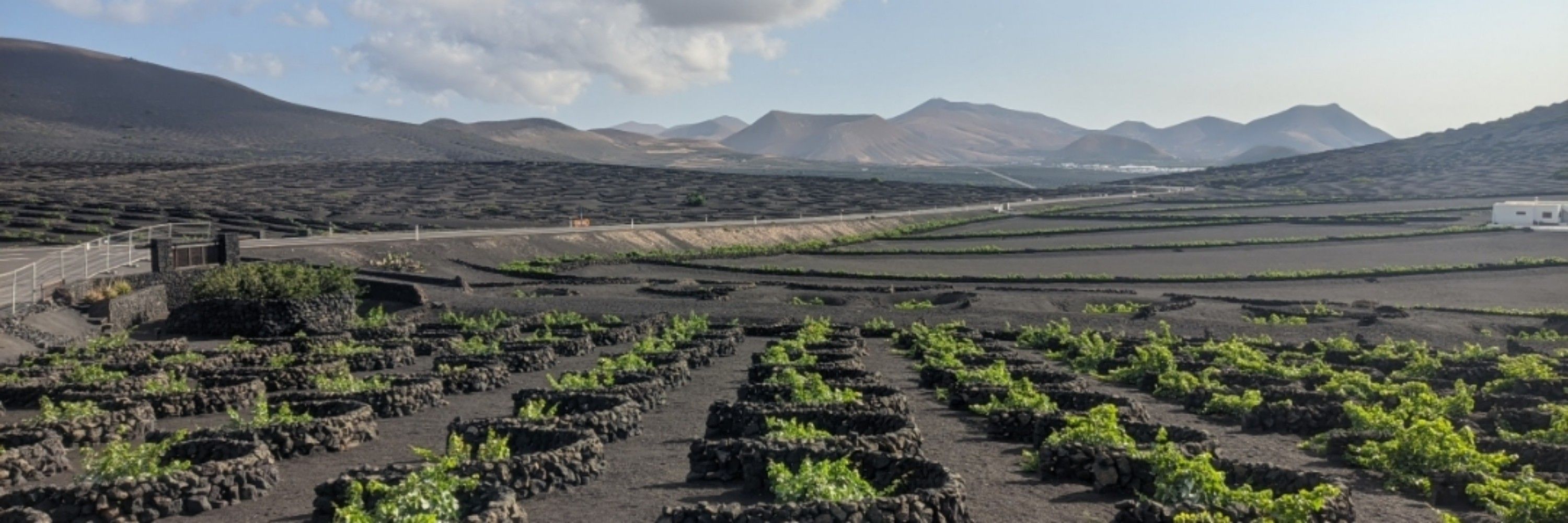 Jeremcanarias
