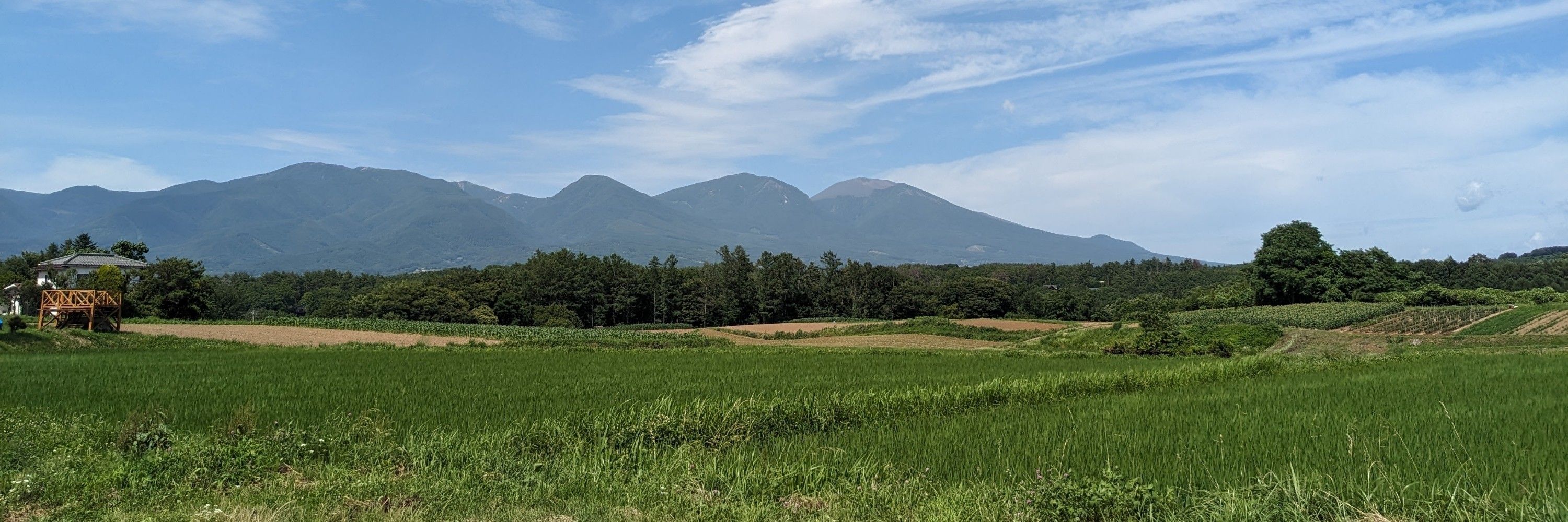月岡ツキ(つっきー)