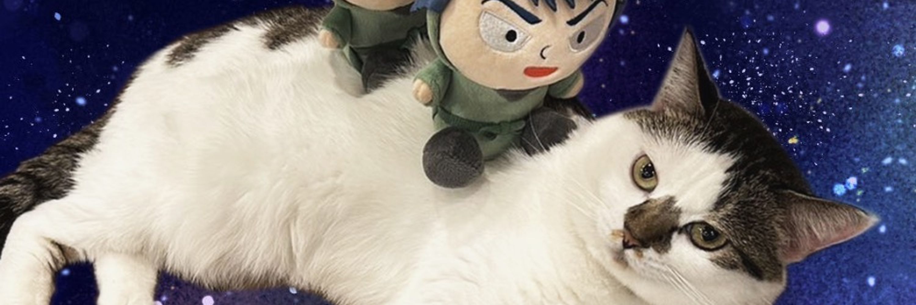まめ