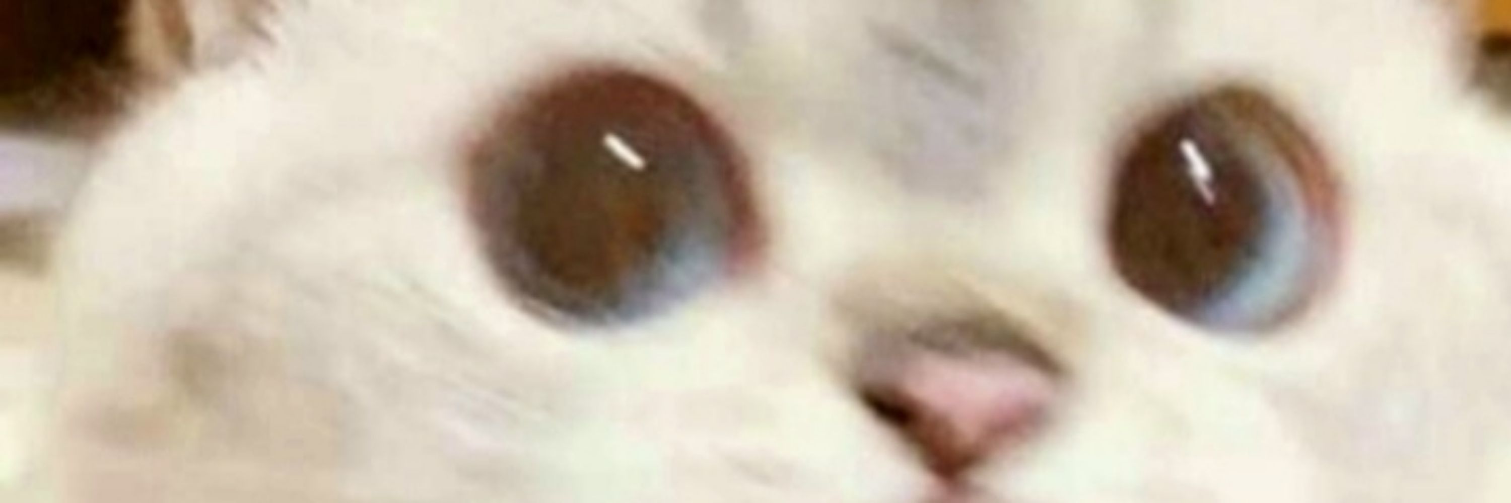 Eh!