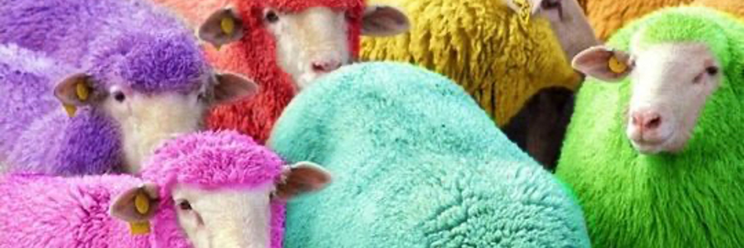 ️🐏💖~Flopsy~💖🐏
