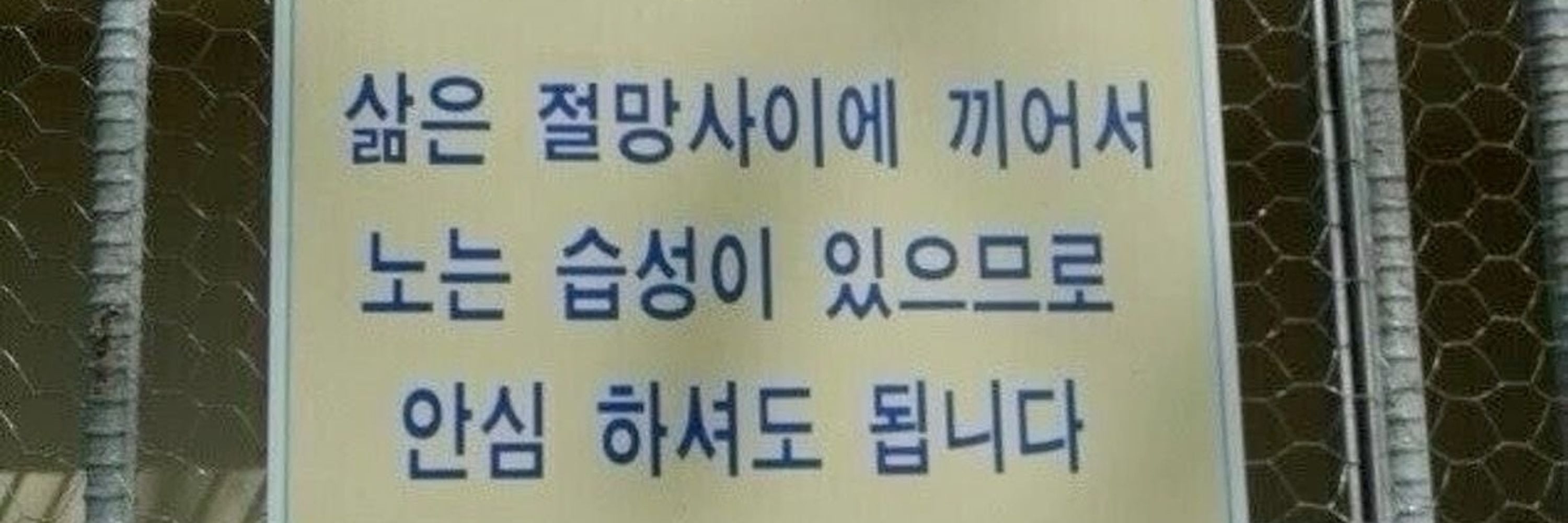 코볼