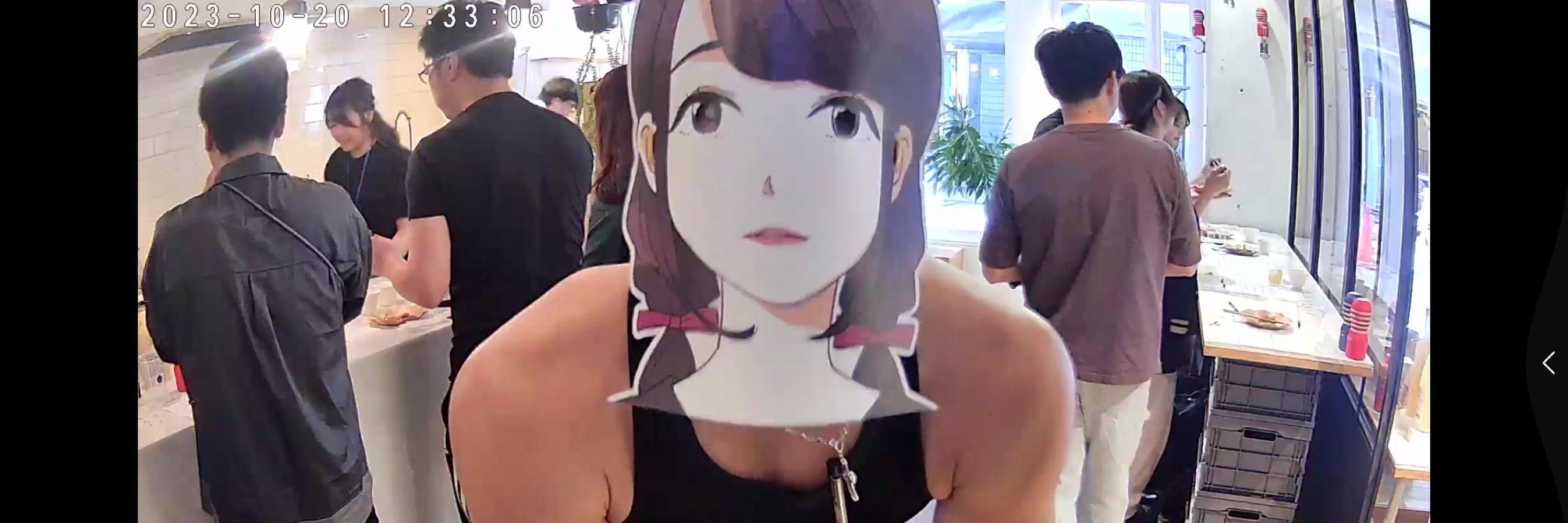 しぬこさん