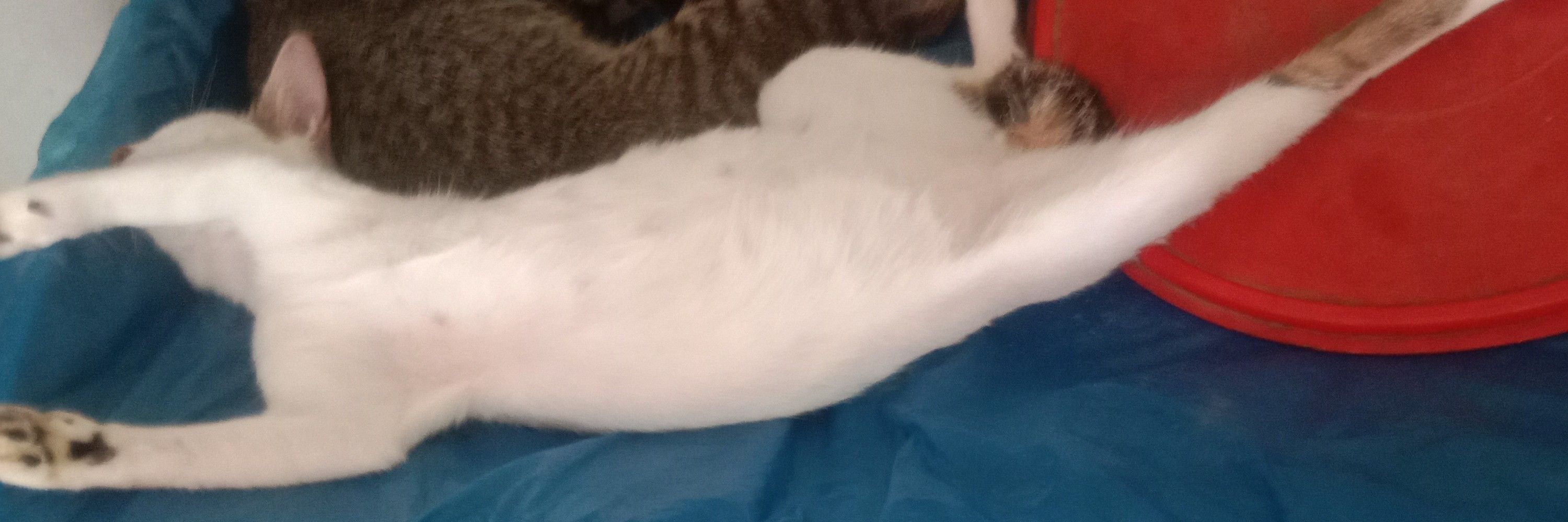 MMM😹