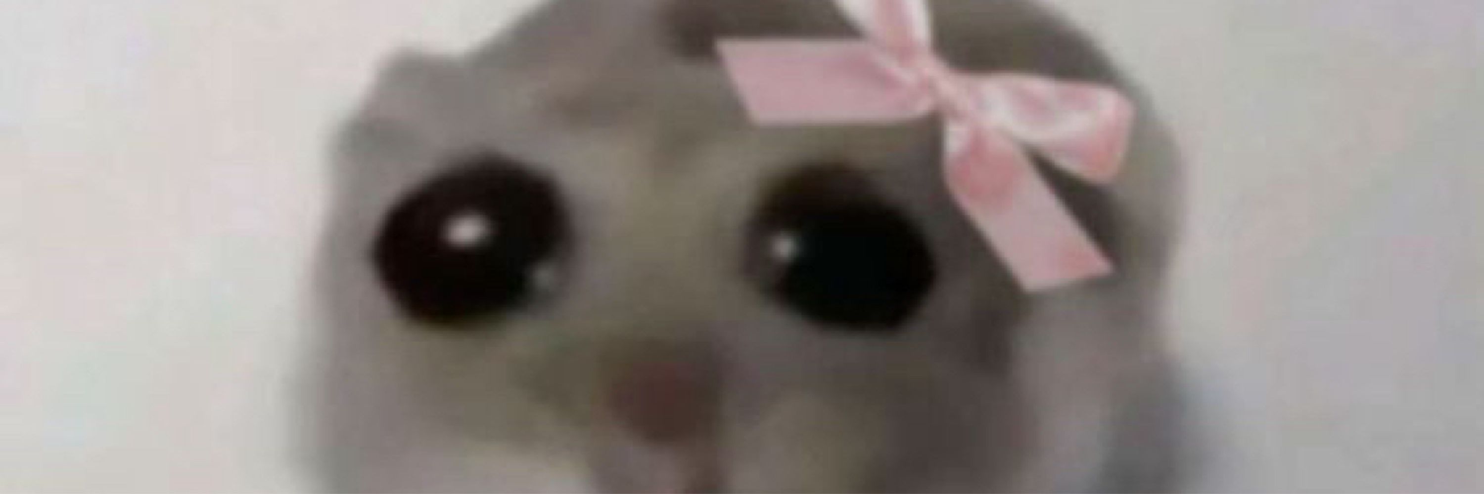 KatieBawls