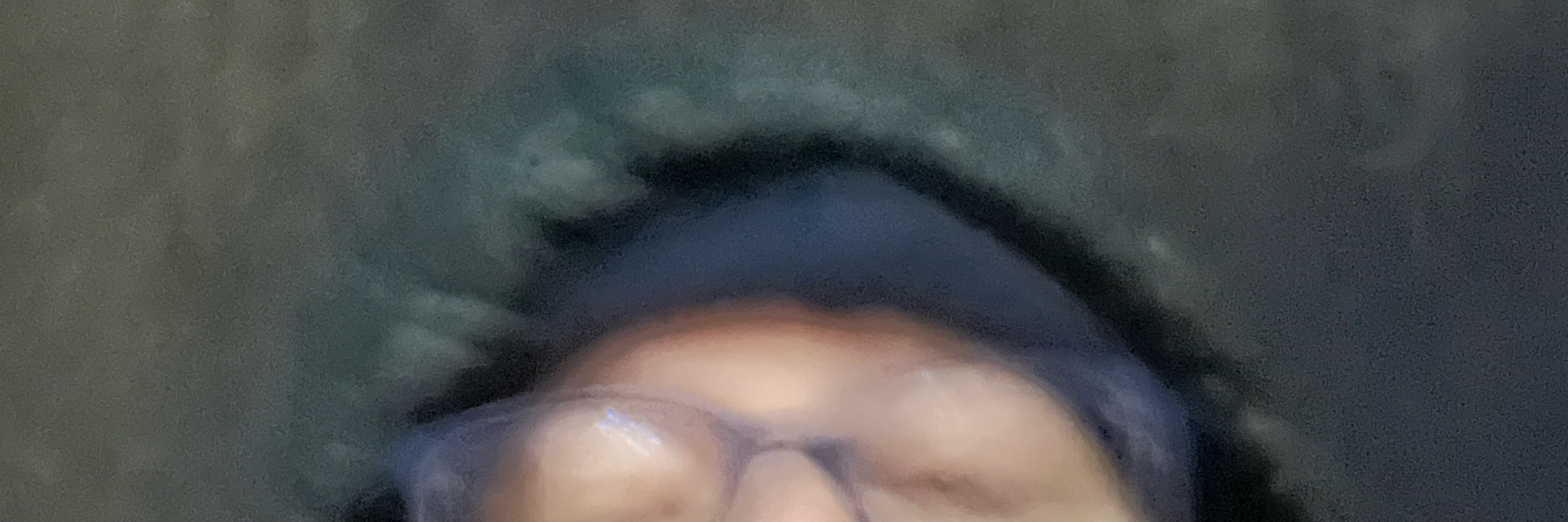 seb